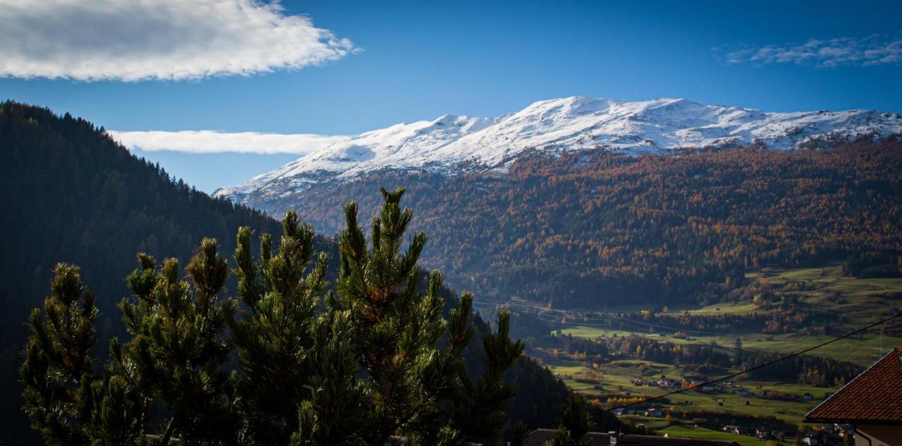 Alpenapart Hochzeiger Jerzens Exterior photo